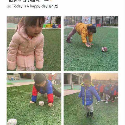 中班组  [一周精彩瞬间 ]