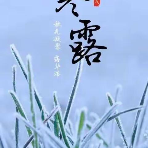 大班组  一周精彩的回顾时刻