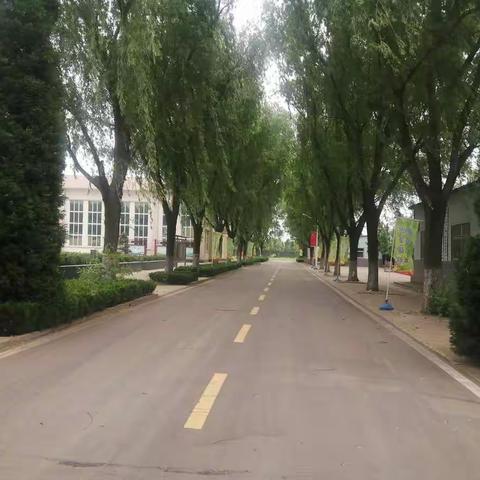 正思想行劳动实践    砺心志期少年更强——平顶山市第二十七中学校外劳动实践教育纪实