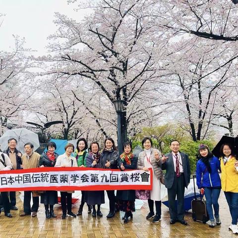 【日中传统医药学会】2023-3-26赏花记实！