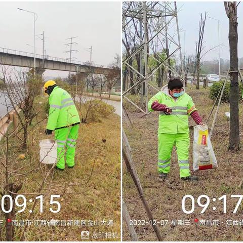 清捡可视范围白漂，加强环境卫生整治