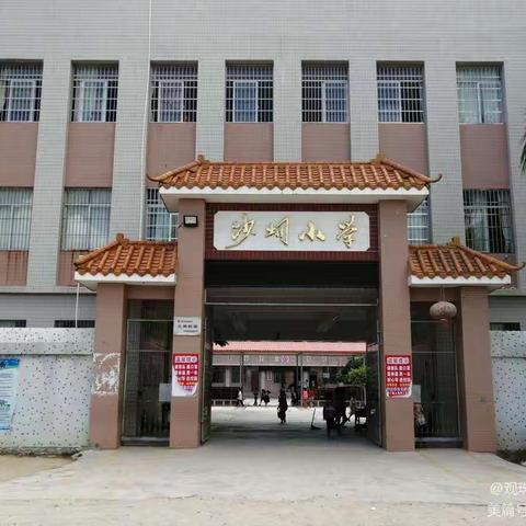 观珠镇沙垌小学“强身健体，快乐成长”庆元旦早操比赛