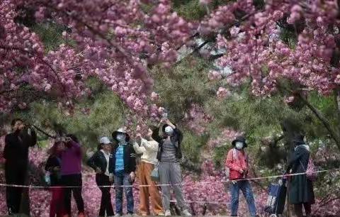 节前检查好，放个安心假——                 移风店镇温馨提示