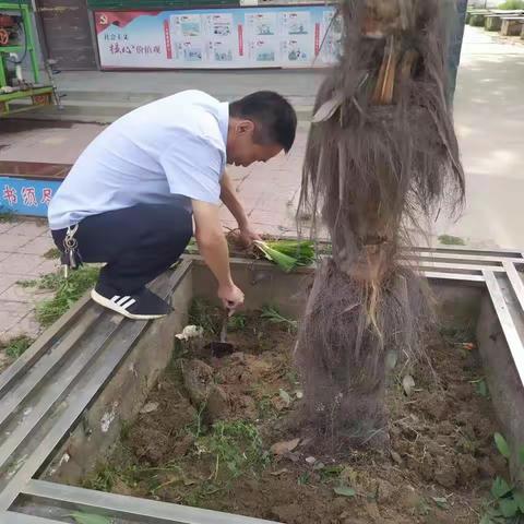 春暖花开季  绿化校园时