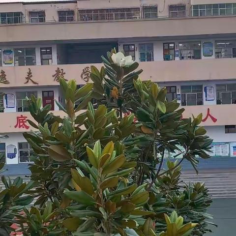 共聚线上课堂，静待“疫”散花开——鄢陵县安陵镇中心小学教育集团校本部