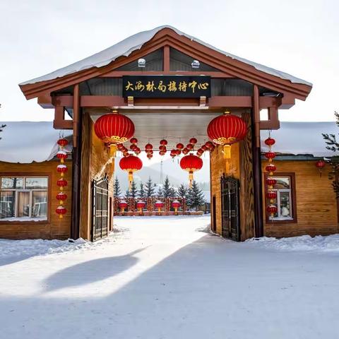 走进浪漫赋有诗情画意的中国雪乡。欣赏北国风光，千里冰封，万里雪飘。