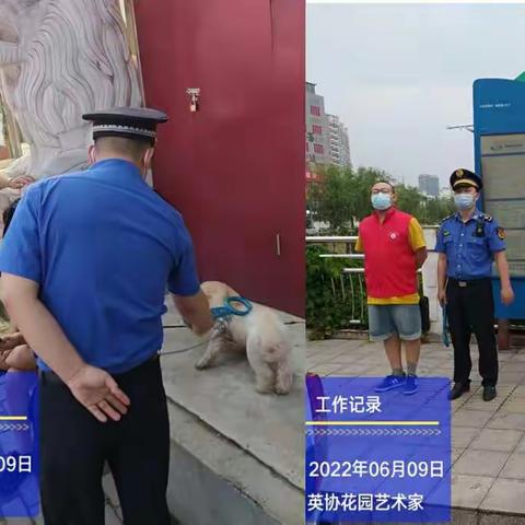 联合规范养犬，共建美好凤凰台