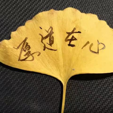 落叶留下的思索