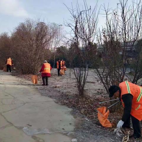 姜营街道：重拳出击，外环路、月季大道综合整治，崭新面貌迎新年