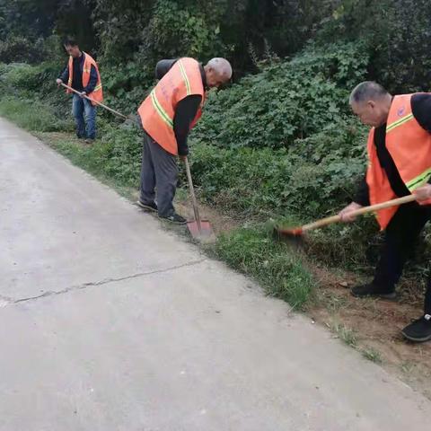 我为群众办实事丨姜营街道办事处道路安全隐患专项排查，守护市民出行安全