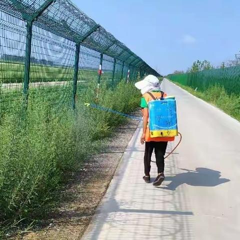 精细作业：炎炎烈日环卫除草忙，让辖区环境更“净”一步！
