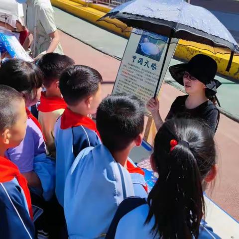 八一路小学音乐学科期末考核