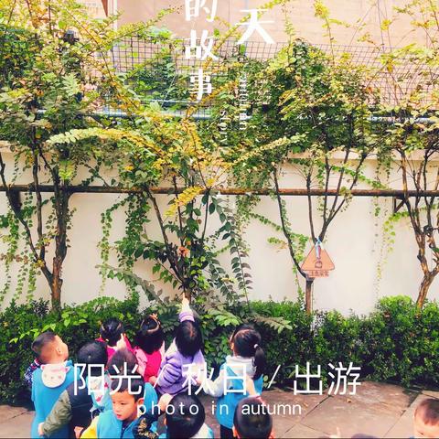 我和秋天有个约会——寻找秋姑娘