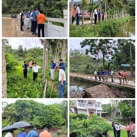 市政府副市长 市河长办 市治水办主任高亮开展毛纳村水环境保护、毛祥小流域治理及南圣河水浮莲整治调研工作