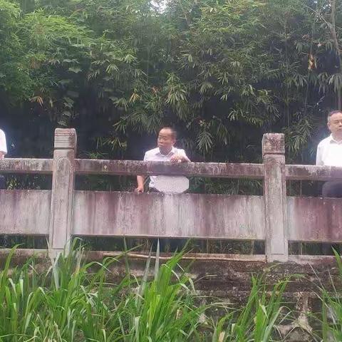 市水务局联合市水务公司、明佳园林环卫公司、市河道管理站进行太平溪翡翠谷河段整治