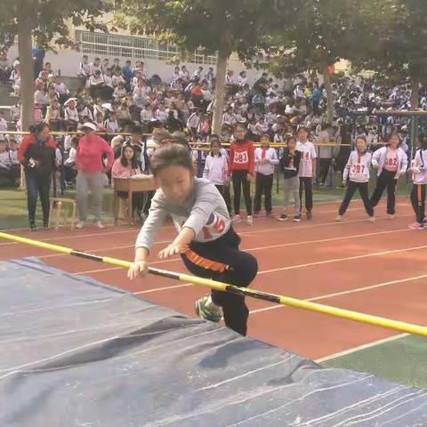 2013级五班运动会--奋勇拼搏，扬帆启航