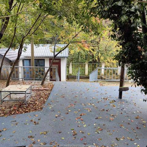 苦雨红叶落，小院更多情