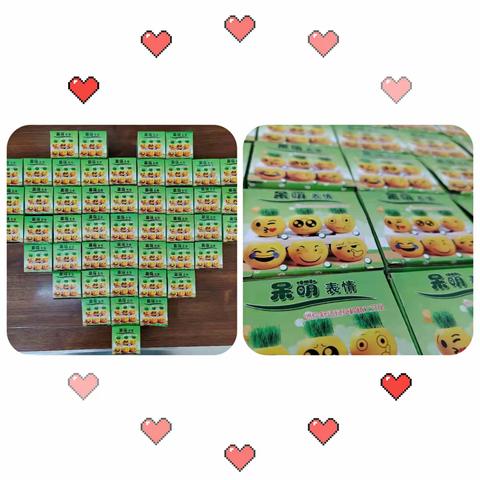 播种希望，收获成长——华小二.1中队五一我与“小芽”一起成长活动