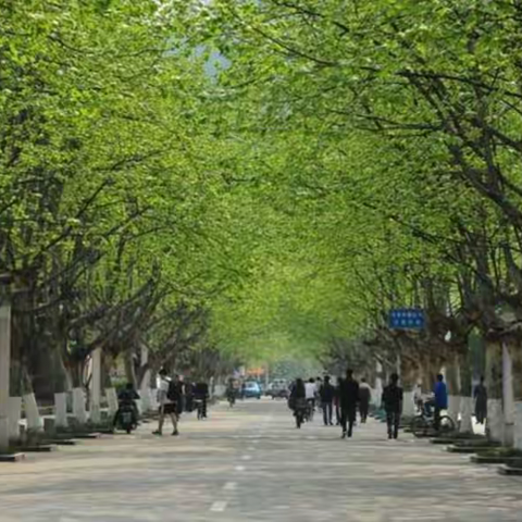 雅安旧事 （我的大学5）