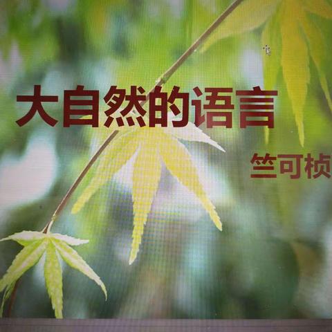 初中语文组教研活动