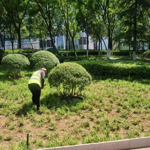 2023年5月12日养护五标段普利监理工作汇总