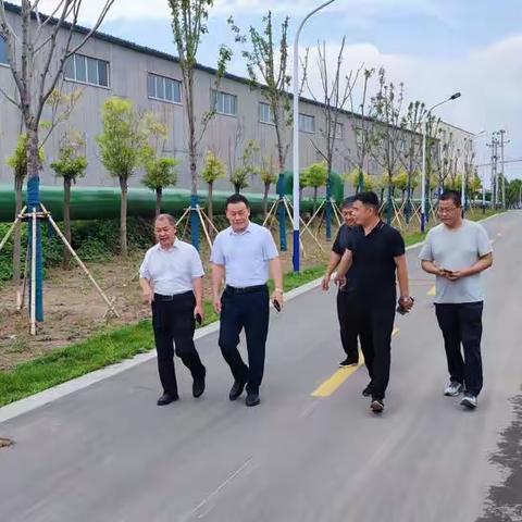 桃城区防汛保安全，强化区级河长巡河履职