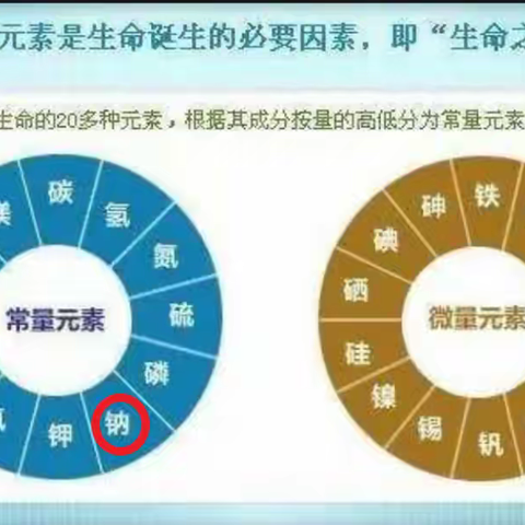 营养健康知识--十五、钠（Na）