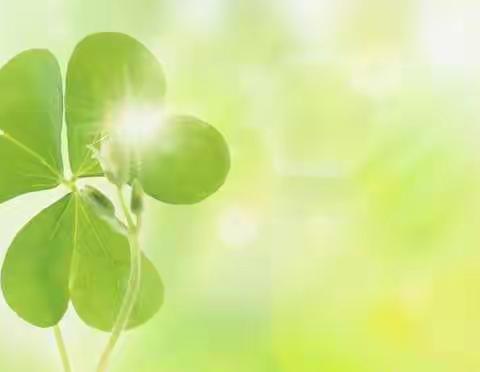 鹿回头小学禁毒宣传活动