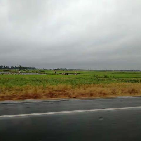 “伟大而隐忍的修行”——致临高中学高二年级“教育扶贫”活动