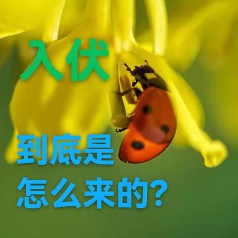 入伏到底是怎么来的？