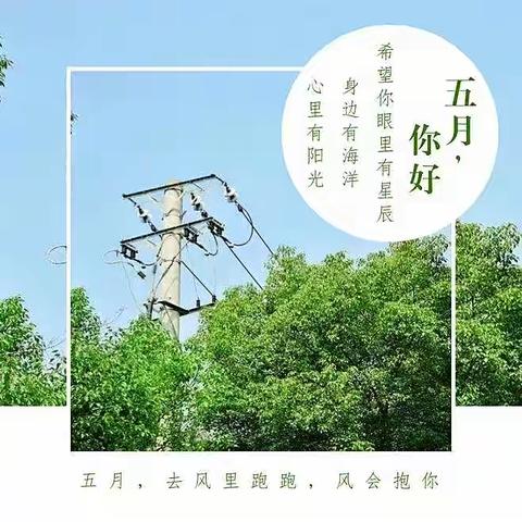 采撷一路芬芳  共享线上时光 —合隆镇实验小学二年组线上教学纪实