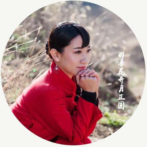 那年花开月正圆