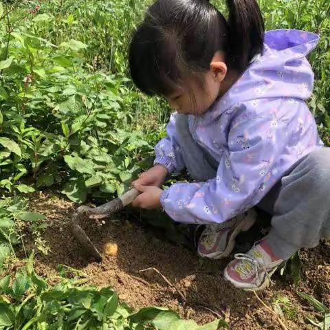 《高旗实验小学108班郑语嫣》祝大家五一劳动节快乐，自己动手丰衣足食