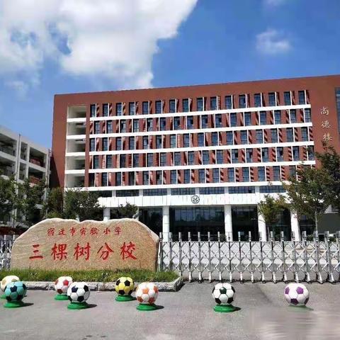 抓能力提升  强作风建设——三棵树小学党支部召开学习贯彻全区教育系统干部会议精神主题党日活动