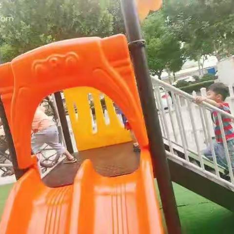 春暖花开的美篇