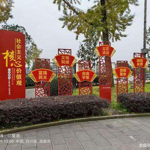 阳光总在风雨后