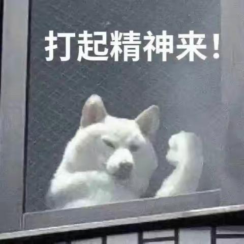 龙华区传达《印刷工业大气污染排放标准》工作日报