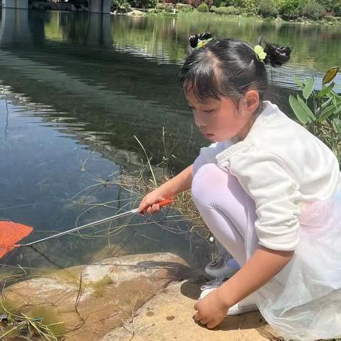 “学习二十大，争做好队员”，大家好，我说长沙市岳麓区五星小区一年级（2）班的李杜亦晨，这是我暑假争章实践活动