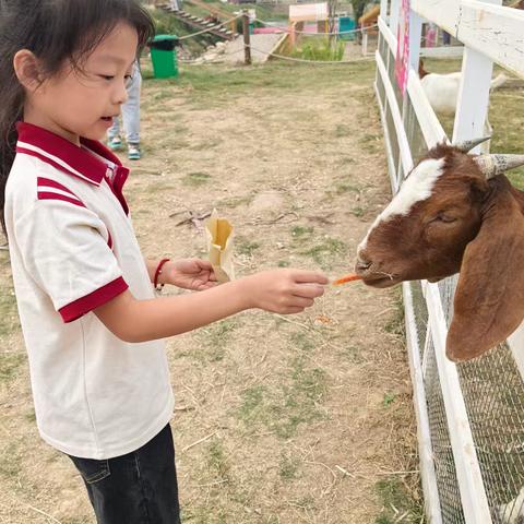 秋日“趣”玩  亲子同乐