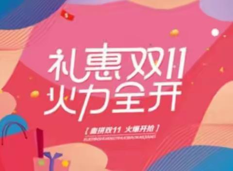 墨雅轩双11大促  课不容缓