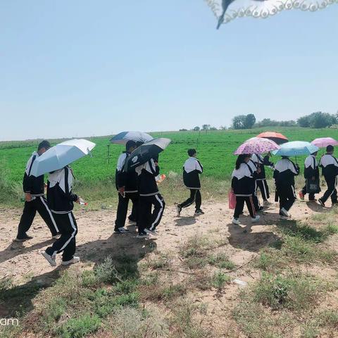 研学旅行之恩格贝沙漠