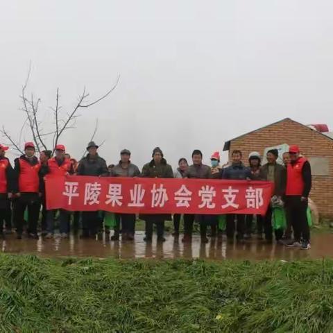平陵果业协会党支部，党员科技下乡活动。