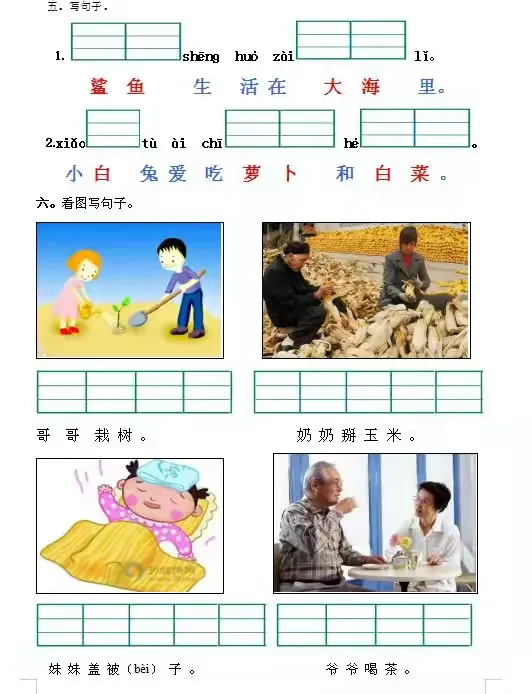 4.16幼小衔接《ai的拼读》