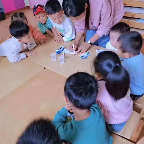 睿丁幼儿园特色课-科学篇