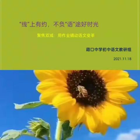 聚焦“双减”，用作业撬动语文变革——藉口中学线上教学研讨纪实