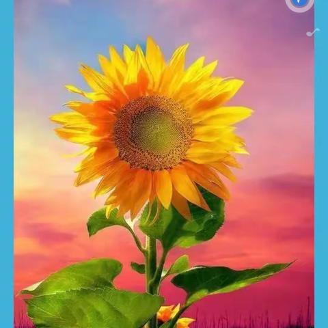 春风得意马蹄疾   最是金榜题名时 ——藉中七、八年级学子致高三（初三）学姐学长