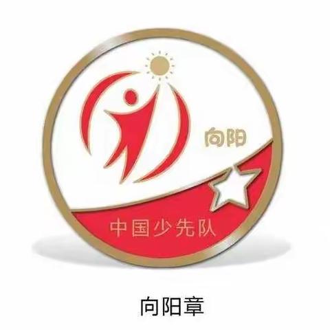 薛家湾第一小学红领巾奖章 四年级“向阳章”争章