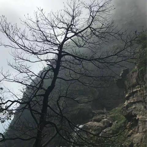 开心之旅          ——庐山篇