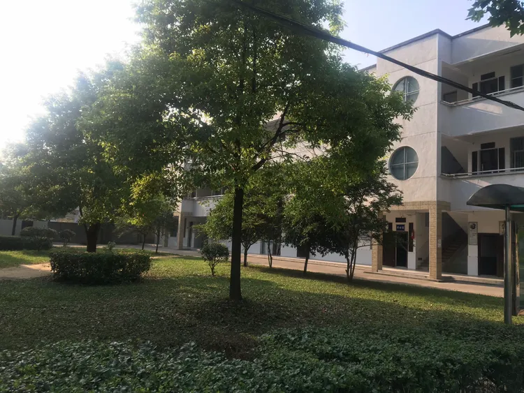 奋进中的广兴洲中学