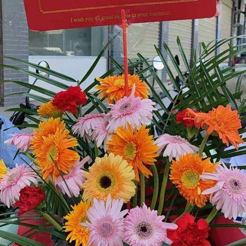 阳光雨露的美篇